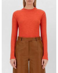 Alysi - Crew Neck Slim Fit Ribbed Knit Top - Lyst