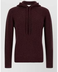 Roberto Collina - Hooded Sweater Long Sleeve Regular Fit - Lyst