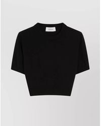 Sportmax - Cropped Fitted Crewneck Top Bettina - Lyst