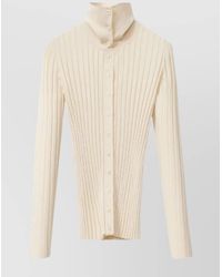 Fabiana Filippi - Knitwear With High Collar And Ribbed Texture - Lyst