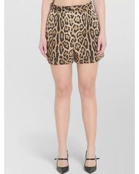 Dolce & Gabbana - Cotton High-Rise Wide-Leg Leopard-Print Tailored Shorts - Lyst
