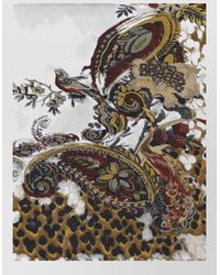 Etro - Cashmere-Blend Floral And Animal-Print Scarf - Lyst