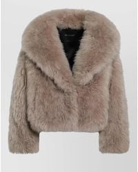 Blancha - Cropped Faux Fur Jacket Wide Collar - Lyst