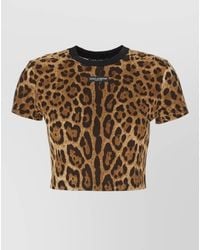 Dolce & Gabbana - Animal Print Crew Neck Cropped T Shirt - Lyst