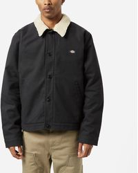 Dickies Sherpa Lined Deck Jacket in 
