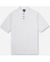 patagonia collared shirt