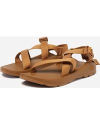 Chaco Z1 Classic Sandal - Brown