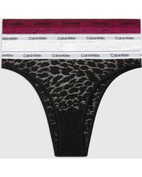 Calvin Klein - Modern Semi-sheer Leopard Stretch-lace 3-pack Briefs - Lyst