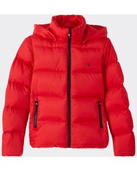 calvin klein short puffer jacket