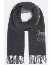 COACH - Horse And Carriage Reversible Cashmere Muffler Scarf - Lyst