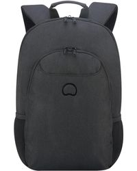 delsey montgallet backpack