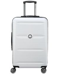delsey luggage company