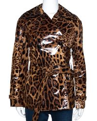 Dolce & Gabbana Brown Leopard Print Belted Trench Coat