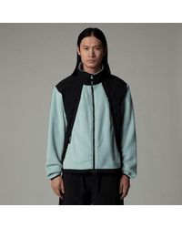 The North Face - Polar Sun Fleece Jacket Muted Pine-Tnf - Lyst