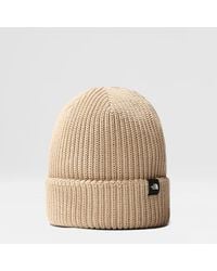 The North Face - Fisherman Beanie - Lyst