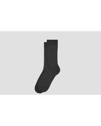 Theory - Trouser Socks - Lyst