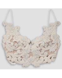 Zimmermann - Cropped Appliquéd Velvet Lace And Mesh Top - Lyst