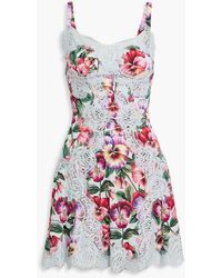 Dolce & Gabbana - Floral-print Silk-blend Crepe And Lace Mini Dress - Lyst