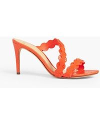 Alexandre Birman - Barbara 85 Scalloped Suede And Snake-effect Leather Mules - Lyst