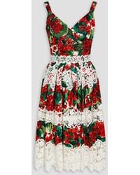 Dolce & Gabbana - Crochet-trimmed Floral-print Cotton-blend Poplin Dress - Lyst