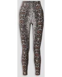 Commando - Leggings aus stretch-jersey mit pailletten und schlangenprint - Lyst