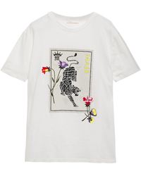 Maje Embroidered Printed Cotton-jersey T-shirt Ivory - White
