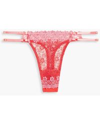 Cosabella - Veneto Two-tone Corded Lace Low-rise Thong - Lyst
