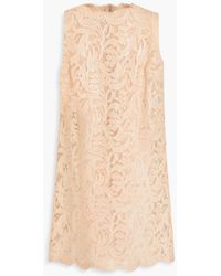 Dolce & Gabbana - Cotton-blend Corded Lace Mini Dress - Lyst
