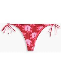 Fisch - Chanzy Floral-print Stretch-econyl Bikini Briefs - Lyst