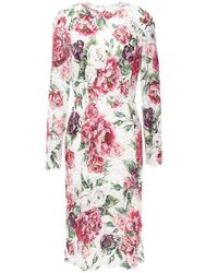 Dolce & Gabbana - Floral-print Cotton-blend Corded Lace Dress - Lyst