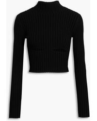 Dion Lee - Cropped Cutout Ribbed-knit Turtleneck Top - Lyst