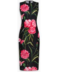 Dolce & Gabbana - Floral-Print Stretch-Mesh Midi Dress - Lyst
