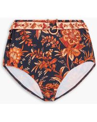 Zimmermann - Belted Floral-Print High-Rise Bikini Briefs - Lyst