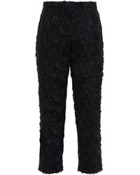Dolce & Gabbana Floral-appliquéd Cropped Mesh Tapered Trousers - Black