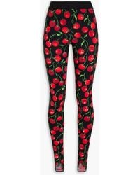 Dolce & Gabbana - Printed Stretch-jersey leggings - Lyst