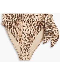 Zimmermann - Knotted Leopard-print High-rise Bikini Briefs - Lyst