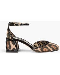 Dolce & Gabbana - Pumps aus samt mit leopardenprint und kristallverzierung - Lyst