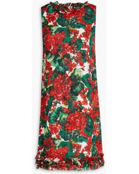 Dolce & Gabbana - Ruffled Floral-print Silk-blend Mini Dress - Lyst