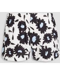 Jacquemus - Floral-print Cotton Boxer Shorts - Lyst