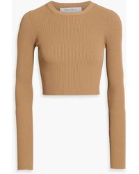 Max Mara - Arcella Cropped Ribbed-Knit Top - Lyst