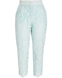 Dolce & Gabbana Cotton-blend Corded Lace Tapered Trousers - Blue