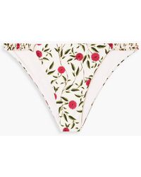 Agua Bendita - Vera Ruffled Floral-print Low-rise Bikini Briefs - Lyst