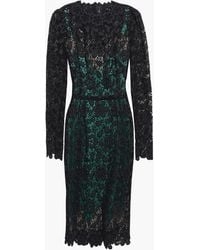 Dolce & Gabbana - Cotton-blend guipure lace dress - Lyst