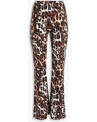 Diane von Furstenberg - Brooklyn Leopard-Print Jersey Flared Pants - Lyst