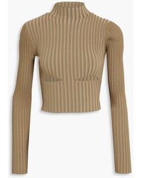 Dion Lee - Cropped Cutout Ribbed-knit Turtleneck Top - Lyst
