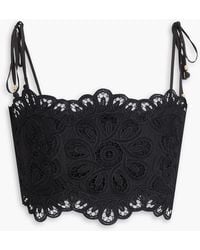Zimmermann - Cropped Guipure Lace Cotton Bustier Top - Lyst