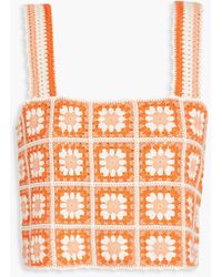Maje - Matucada Cropped Crochet-knit Cotton Top - Lyst