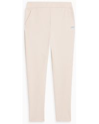 Max Mara - Lontra Cropped Stretch-jersey Track Pants - Lyst