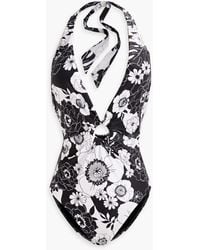Seafolly - Plunge Floral-print Halterneck Swimsuit - Lyst