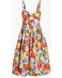 Cara Cara - Laurel Pleated Floral-print Cotton-poplin Dress - Lyst